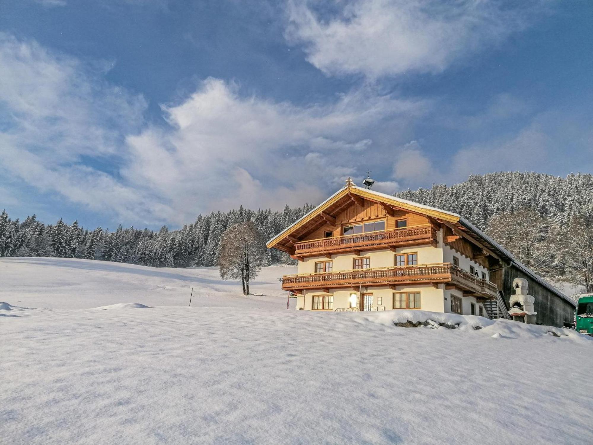Flicklhof Xl Διαμέρισμα Hopfgarten im Brixental Εξωτερικό φωτογραφία
