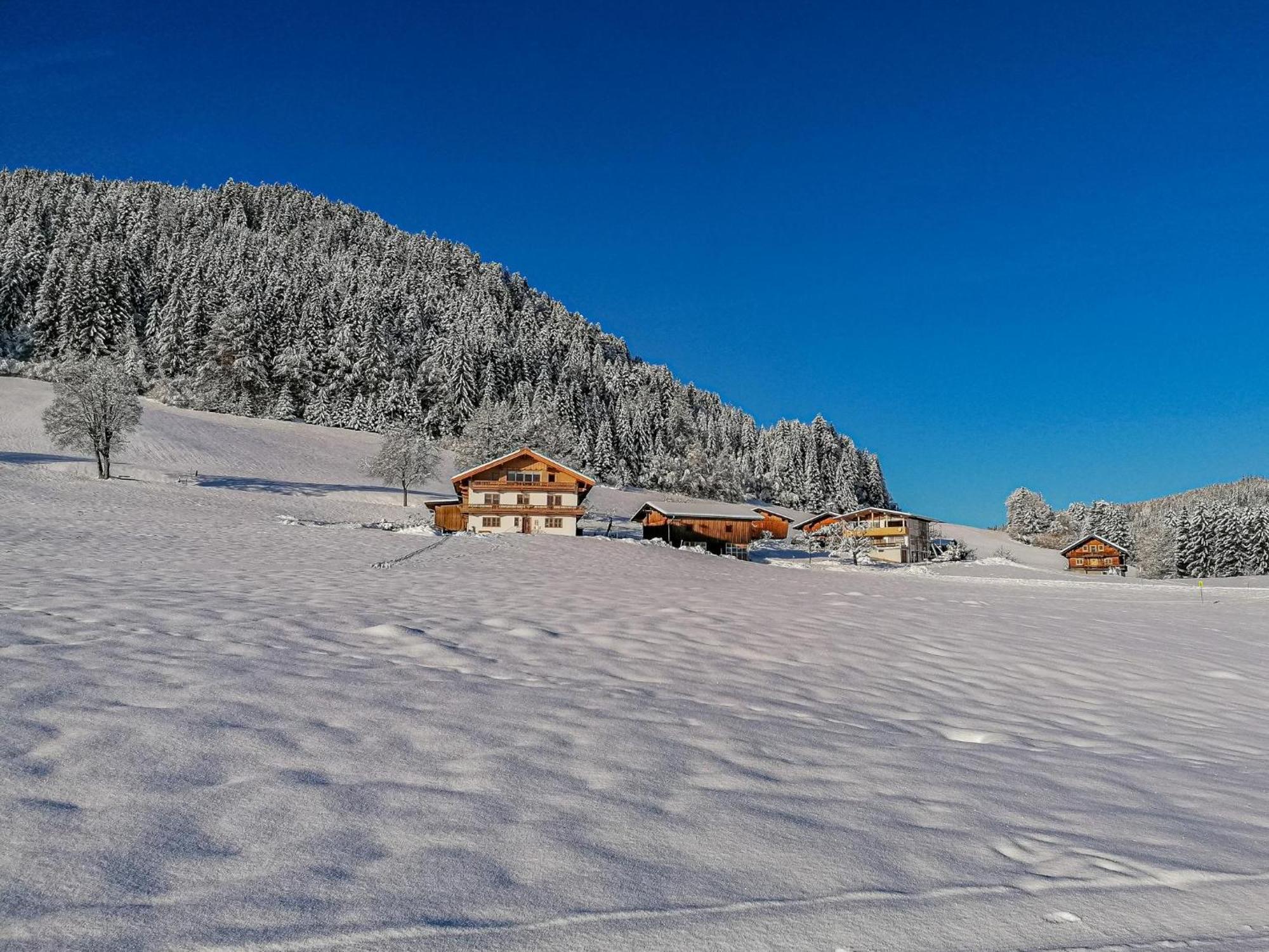 Flicklhof Xl Διαμέρισμα Hopfgarten im Brixental Εξωτερικό φωτογραφία