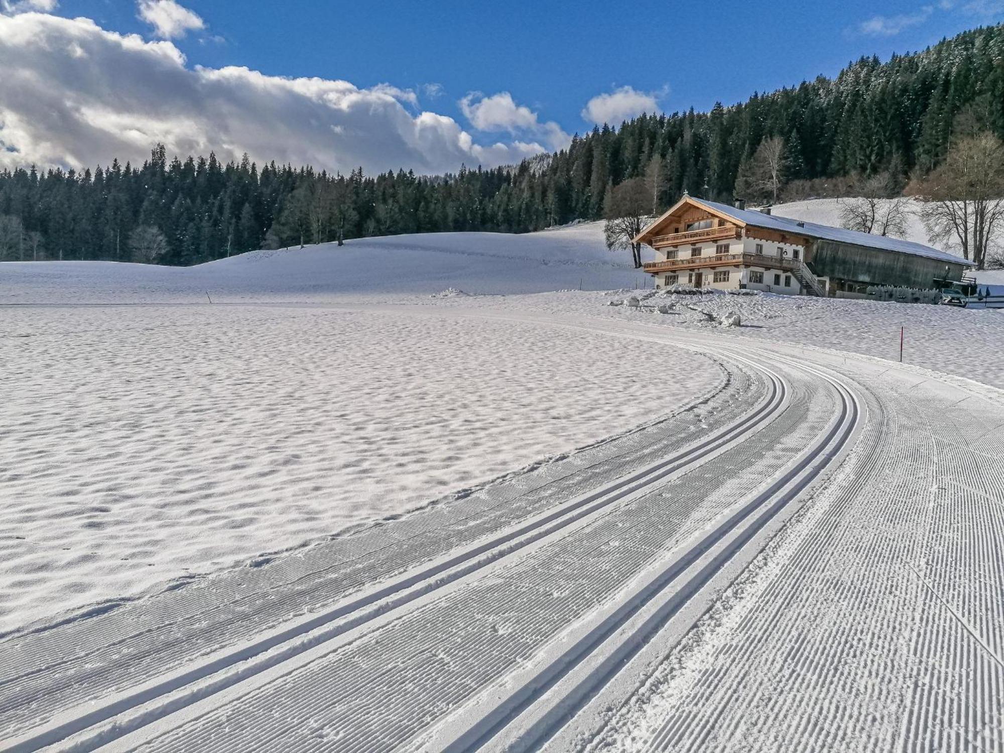 Flicklhof Xl Διαμέρισμα Hopfgarten im Brixental Εξωτερικό φωτογραφία