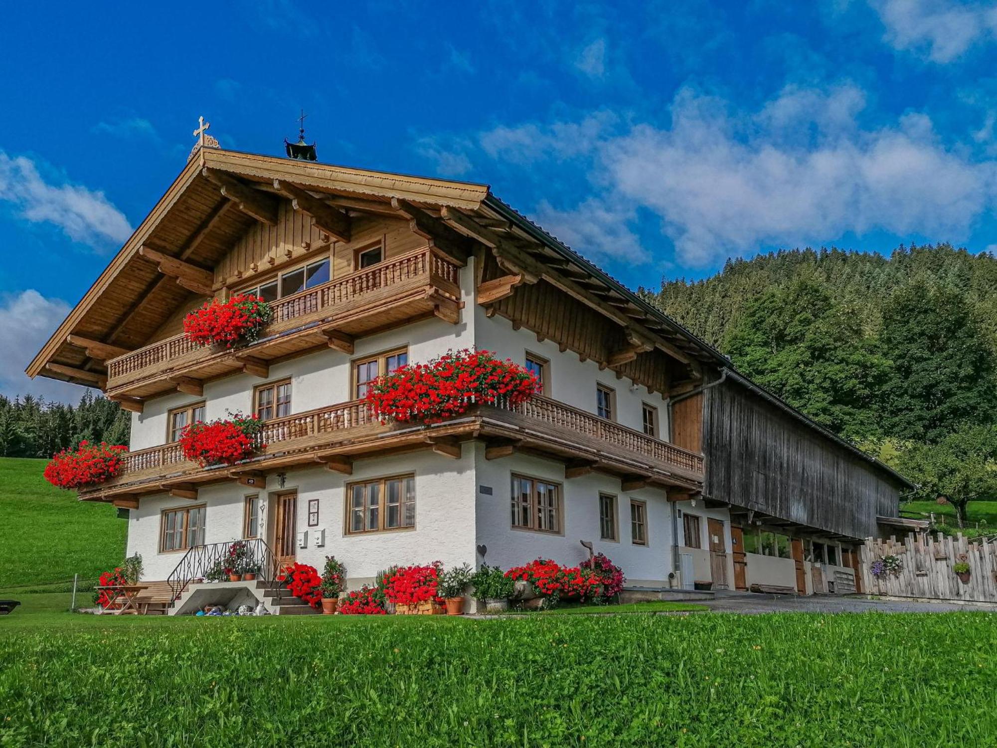 Flicklhof Xl Διαμέρισμα Hopfgarten im Brixental Εξωτερικό φωτογραφία